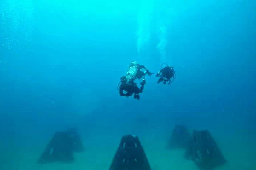 Memorial Reefs